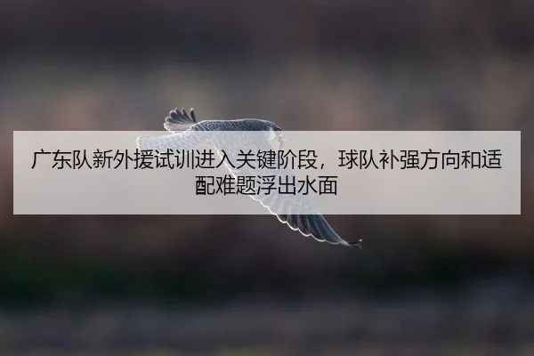 guang-dong-dui-xin-wai-yuan-shi-xun-jin-ru-guan-jian-jie-duan-qiu-dui-bu-qiang-fang-xiang-he-shi-pei-nan-ti-fu-chu-shui-3-688.jpg